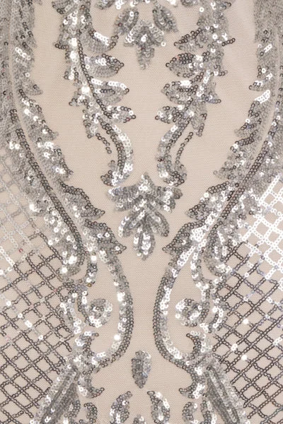 Vogue Luxe Silver Nude Strapless Sequin Illusion Midi Pencil Dress Midi Skirt Style